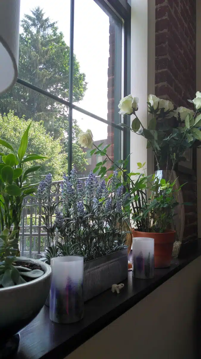 Behavioral Health Network (BHN) - Thumbnail 4