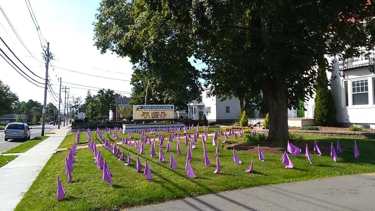 Massachusetts TC Clinical Group - Thumbnail 3